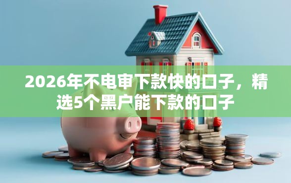 2026年不电审下款快的口子，精选5个黑户能下款的口子