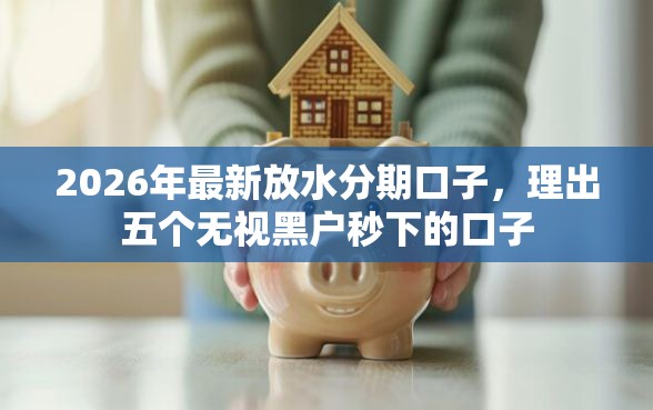 2026年最新放水分期口子，理出五个无视黑户秒下的口子