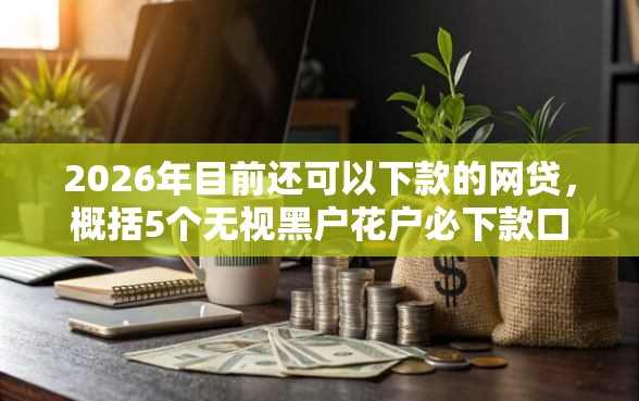 2026年目前还可以下款的网贷，概括5个无视黑户花户必下款口子
