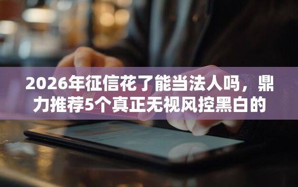 2026年征信花了能当法人吗，鼎力推荐5个真正无视风控黑白的网贷软件
