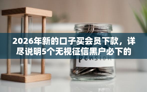 2026年新的口子买会员下款，详尽说明5个无视征信黑户必下的贷款口子