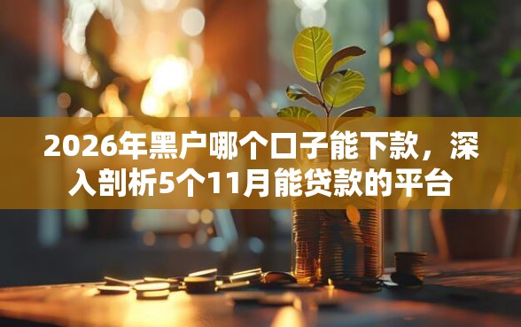 2026年黑户哪个口子能下款，深入剖析5个11月能贷款的平台
