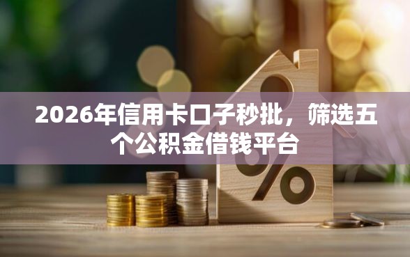 2026年信用卡口子秒批，筛选五个公积金借钱平台