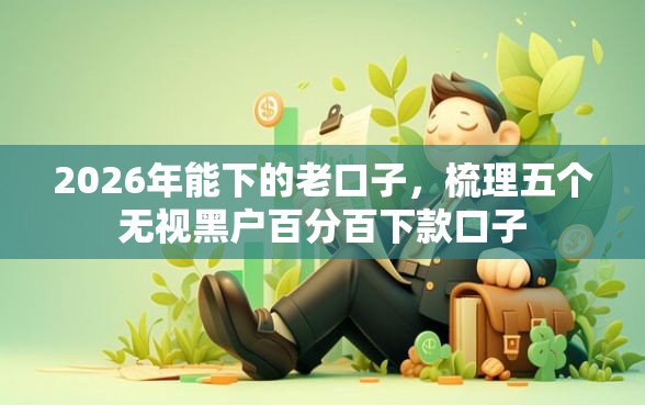 2026年能下的老口子，梳理五个无视黑户百分百下款口子