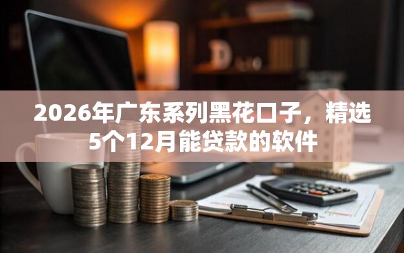 2026年广东系列黑花口子，精选5个12月能贷款的软件