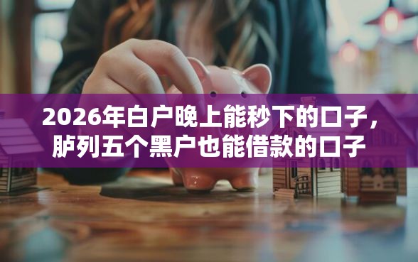 2026年白户晚上能秒下的口子，胪列五个黑户也能借款的口子