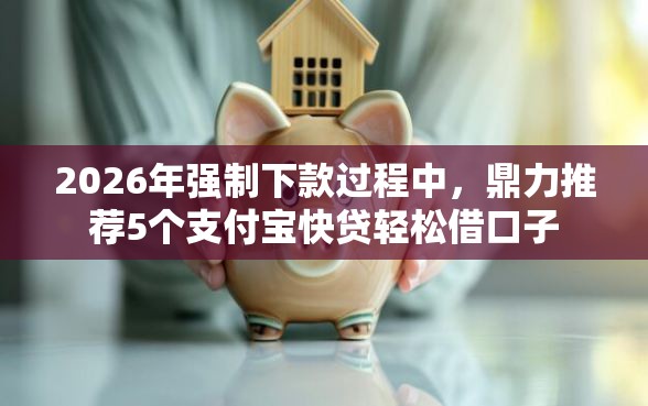 2026年强制下款过程中，鼎力推荐5个支付宝快贷轻松借口子