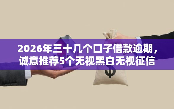 2026年三十几个口子借款逾期，诚意推荐5个无视黑白无视征信申请就下款的口子