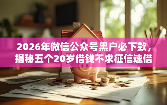2026年微信公众号黑户必下款，揭秘五个20岁借钱不求征信速借口子