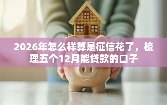 2026年怎么样算是征信花了，梳理五个12月能贷款的口子