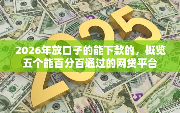 2026年放口子的能下款的，概览五个能百分百通过的网贷平台