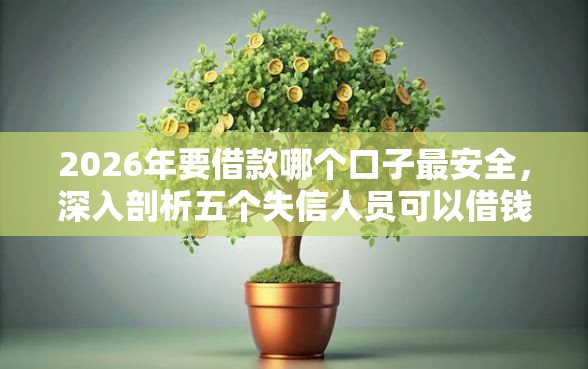 2026年要借款哪个口子最安全，深入剖析五个失信人员可以借钱的网贷口子