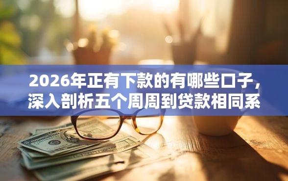 2026年正有下款的有哪些口子，深入剖析五个周周到贷款相同系列的软件