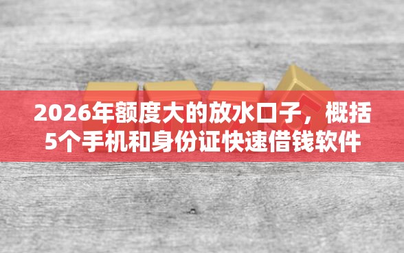 2026年额度大的放水口子，概括5个手机和身份证快速借钱软件