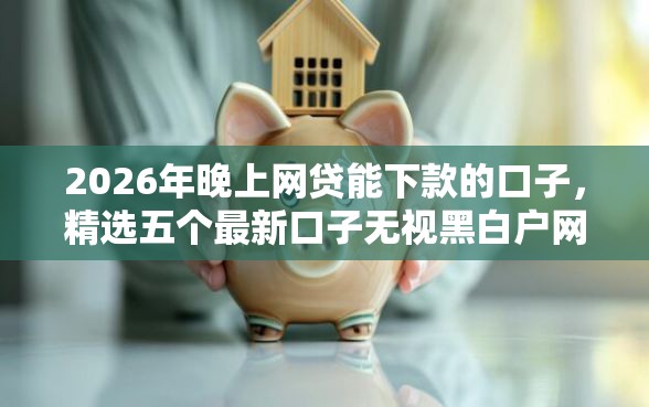 2026年晚上网贷能下款的口子，精选五个最新口子无视黑白户网贷