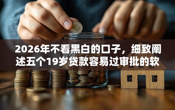 2026年不看黑白的口子，细致阐述五个19岁贷款容易过审批的软件