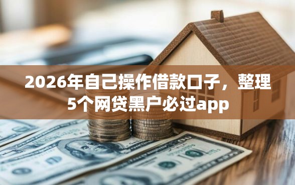 2026年自己操作借款口子，整理5个网贷黑户必过app