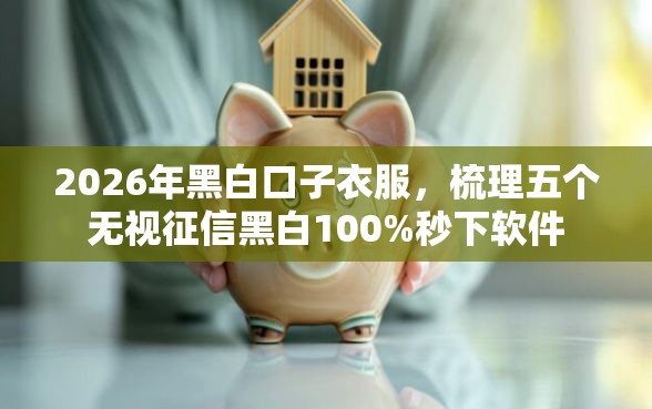 2026年黑白口子衣服，梳理五个无视征信黑白100%秒下软件
