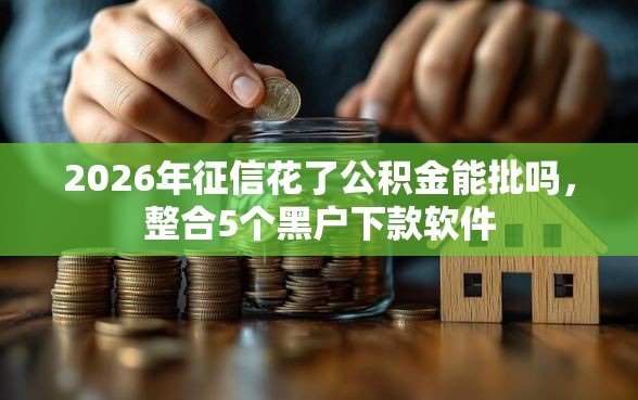 2026年征信花了公积金能批吗，整合5个黑户下款软件