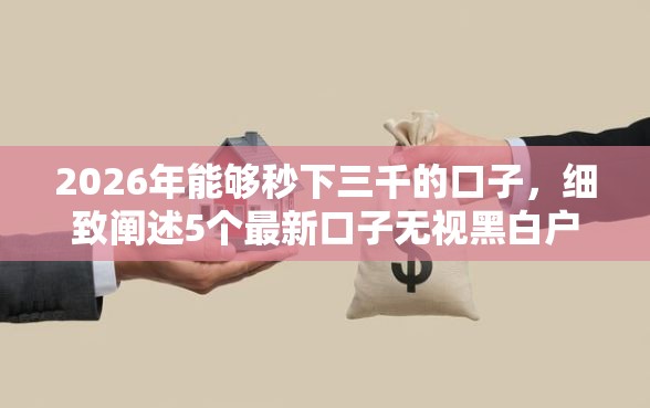 2026年能够秒下三千的口子，细致阐述5个最新口子无视黑白户网贷