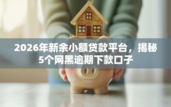 2026年新余小额贷款平台，揭秘5个网黑逾期下款口子