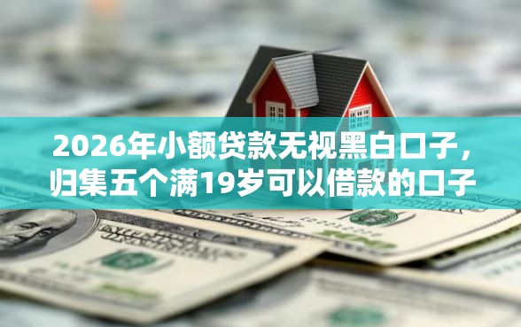 2026年小额贷款无视黑白口子，归集五个满19岁可以借款的口子