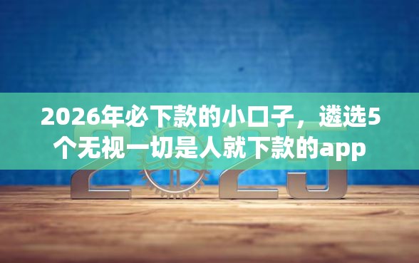 2026年必下款的小口子，遴选5个无视一切是人就下款的app