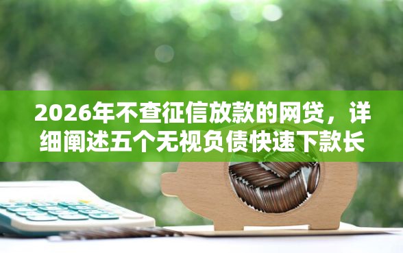 2026年不查征信放款的网贷，详细阐述五个无视负债快速下款长期网贷的软件