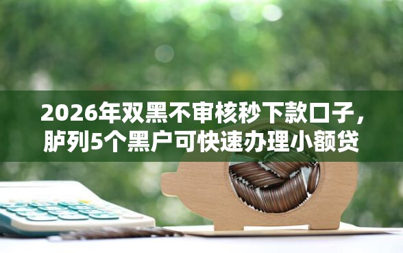 2026年双黑不审核秒下款口子，胪列5个黑户可快速办理小额贷款业务的平台