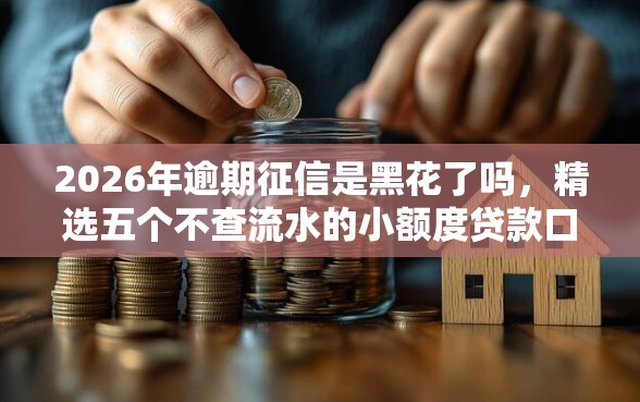 2026年逾期征信是黑花了吗，精选五个不查流水的小额度贷款口子