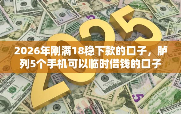 2026年刚满18稳下款的口子，胪列5个手机可以临时借钱的口子