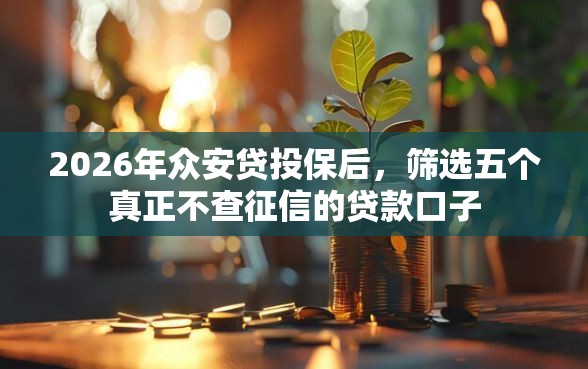 2026年众安贷投保后，筛选五个真正不查征信的贷款口子