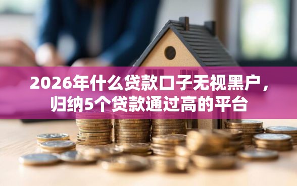 2026年什么贷款口子无视黑户，归纳5个贷款通过高的平台