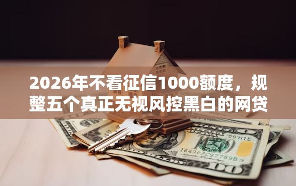 2026年不看征信1000额度，规整五个真正无视风控黑白的网贷口子