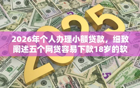 2026年个人办理小额贷款，细致阐述五个网贷容易下款18岁的软件