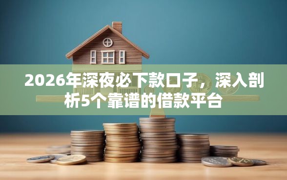 2026年深夜必下款口子，深入剖析5个靠谱的借款平台