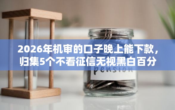 2026年机审的口子晚上能下款，归集5个不看征信无视黑白百分百下款网贷平台