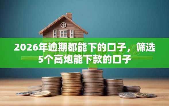 2026年逾期都能下的口子，筛选5个高炮能下款的口子
