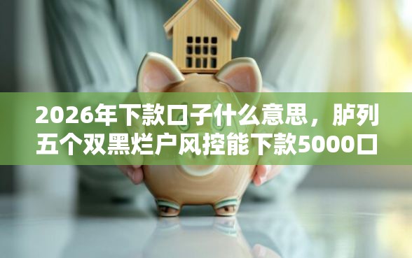 2026年下款口子什么意思，胪列五个双黑烂户风控能下款5000口子