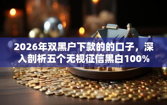 2026年双黑户下款的的口子，深入剖析五个无视征信黑白100%秒下软件