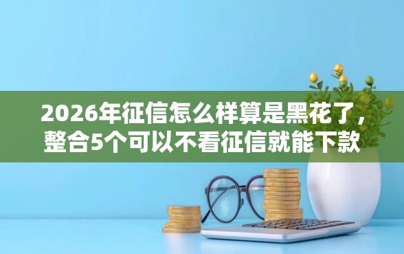 2026年征信怎么样算是黑花了,整合5个可以不看征信就能下款的平台 2026年征信怎么样算是黑花了,整合5个可以不看征信就能下款的平台