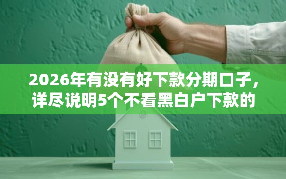 2026年有没有好下款分期口子，详尽说明5个不看黑白户下款的网贷