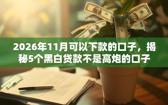 2026年11月可以下款的口子，揭秘5个黑白贷款不是高炮的口子