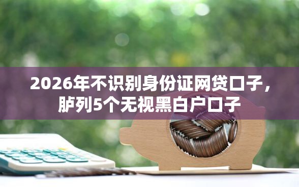 2026年不识别身份证网贷口子，胪列5个无视黑白户口子