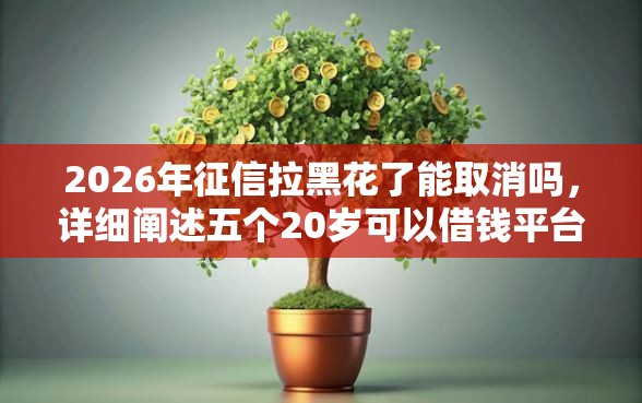 2026年征信拉黑花了能取消吗，详细阐述五个20岁可以借钱平台不查征信的口子