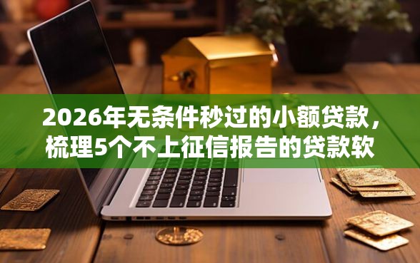 2026年无条件秒过的小额贷款，梳理5个不上征信报告的贷款软件