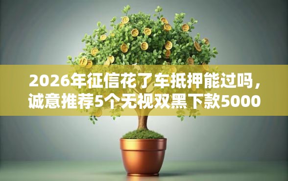 2026年征信花了车抵押能过吗，诚意推荐5个无视双黑下款5000的口子