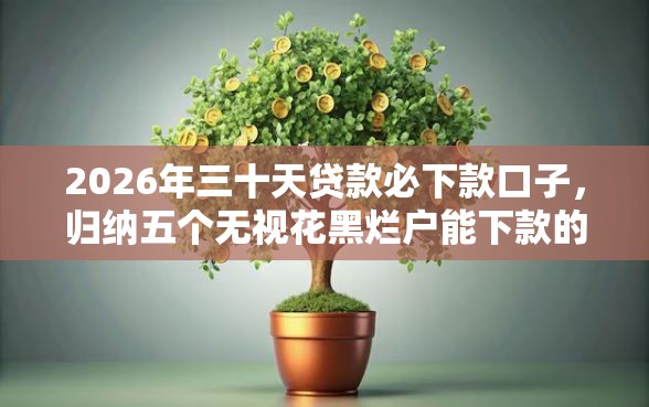 2026年三十天贷款必下款口子，归纳五个无视花黑烂户能下款的网贷