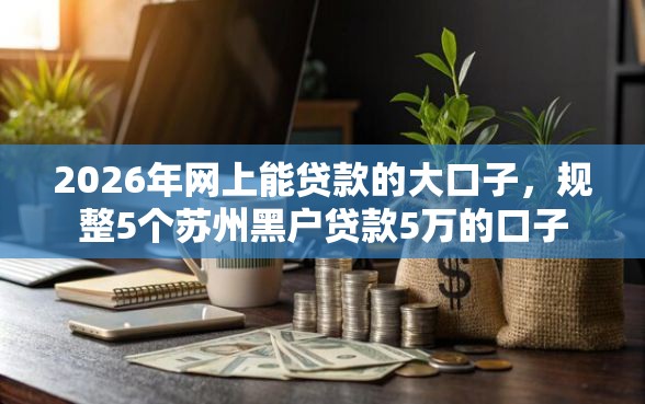 2026年网上能贷款的大口子，规整5个苏州黑户贷款5万的口子