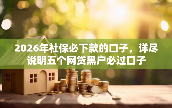 2026年社保必下款的口子，详尽说明五个网贷黑户必过口子